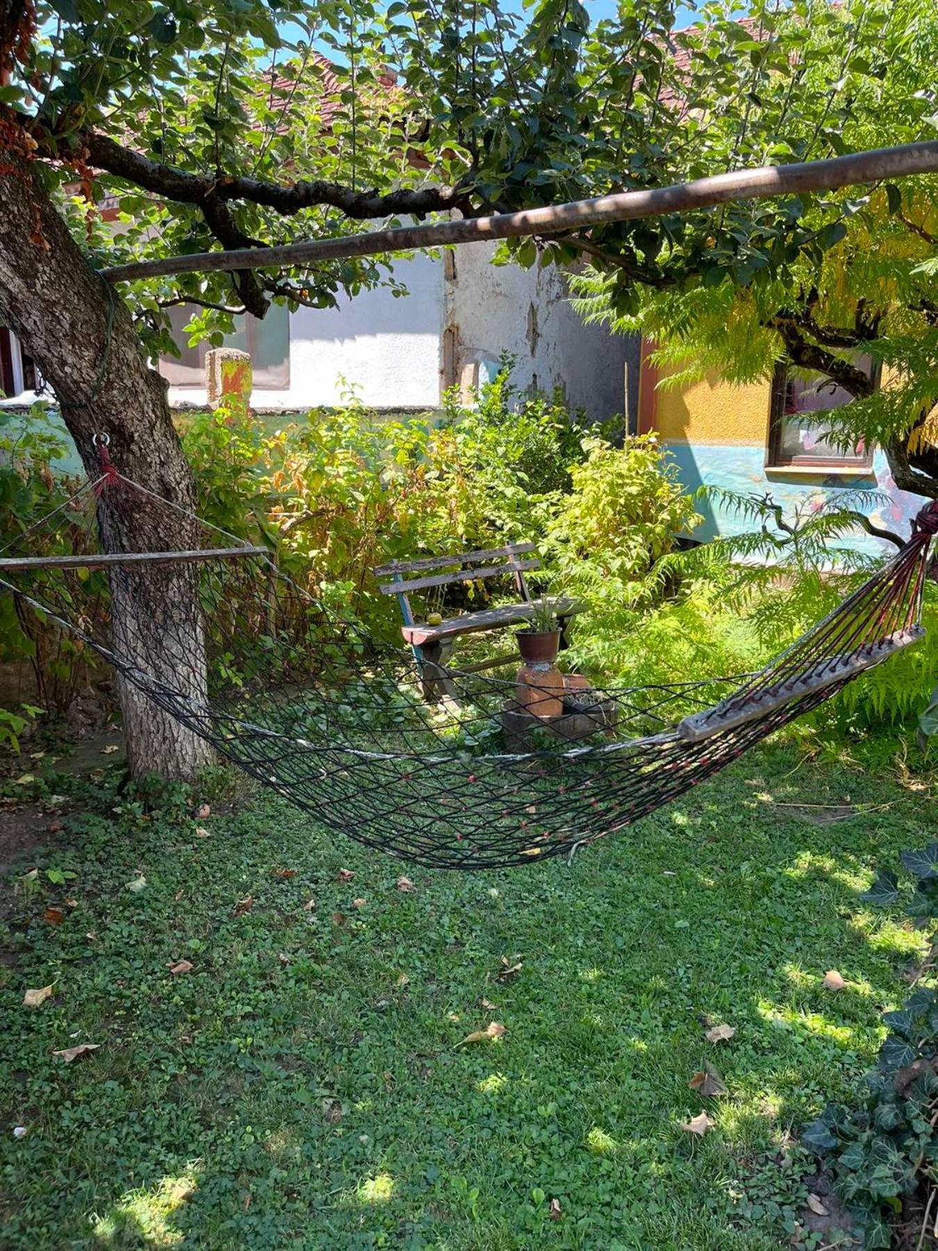 Garickina Kuca Apartment Pirot